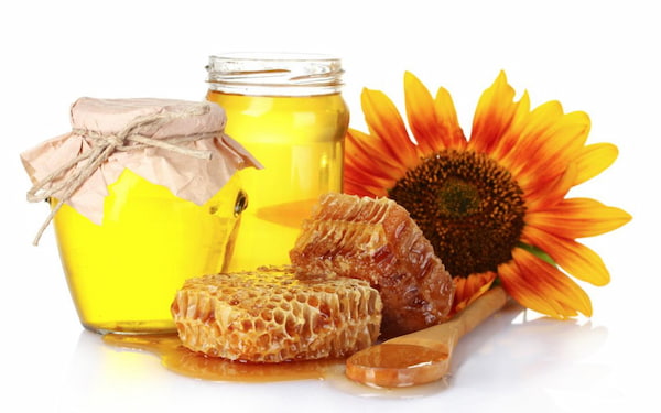 تصویر 5 از قیمت خرید عسل گون (انگبین) چهار محال و بختیاری